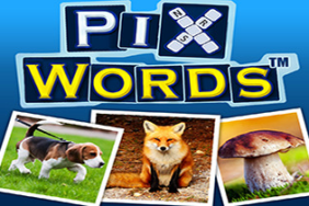 Hra PixWords nápověda k obrázkům