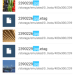 File Manager (10)