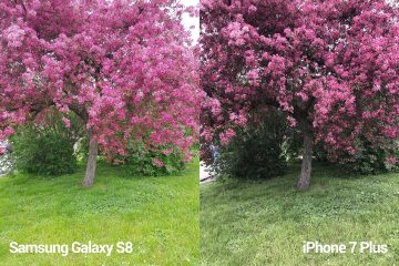 porovnani foto – S8 vs iP 7 P 2