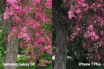 porovnani foto – S8 vs iP 7 P mini 3