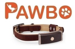 Chytrý obojek Pawbo WagTag vám prozradí, kde se váš pes pohybuje.