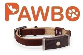 Chytrý obojek Pawbo WagTag vám prozradí, kde se váš pes pohybuje.