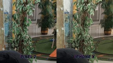 Foto test-Apple iPhone X-Google Pixel 2-krtek-3