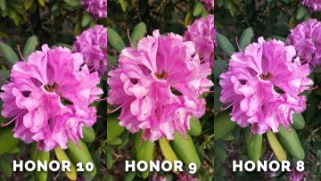 Fototest honor 8 vs honor 9 vs honor 10 - kytice