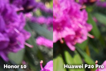 Honor 10 vs Huawei P20 Pro detail rostlina fototest