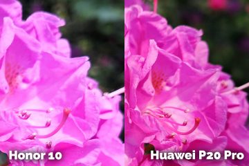 Honor 10 vs Huawei P20 Pro kytka ruzova