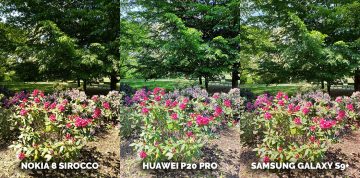 fototest telefonu Nokia 8 Sirocco vs Huawei P20 Pro vs Samsung Galaxy S9+ - zahrada