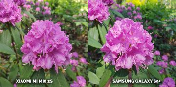 Který mobil fotí nejlépe? Xiaomi Mi Mix 2S nebo Samsung Galaxy S9 Plus kytice