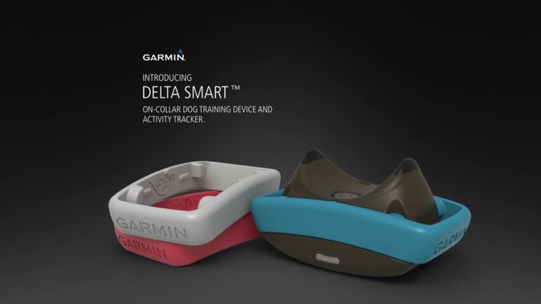Delta Smart: Activity Tracking and Training for Dogs