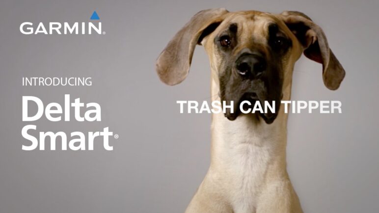 Delta Smart: Raise a Better Pet