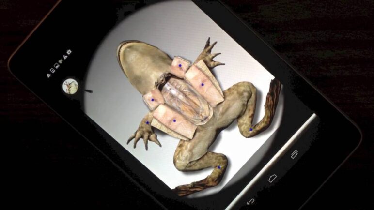 First Ever Android Virtual Frog Dissection App - by Froguts