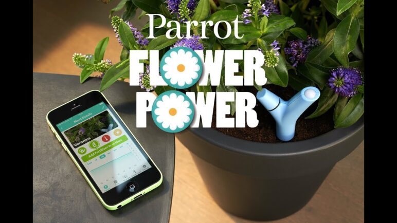 Introducing Parrot Flower Power