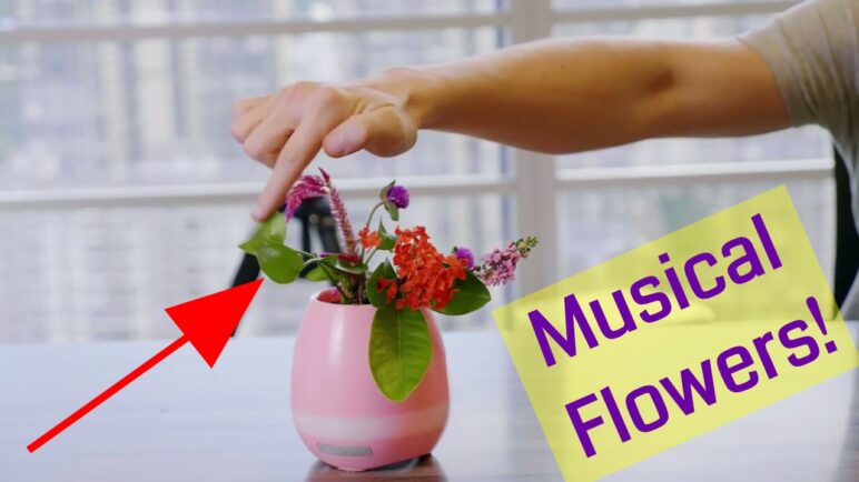 Musical Flower Pot  - A Crazy and Fun Plant Pot Piano
